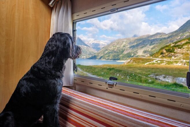 Camping mit Hund [Bildinhalt mit Ki bearbeitet]
