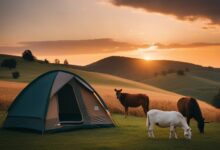 Camping auf dem Bauernhof - Der Charme des ländlichen Leben