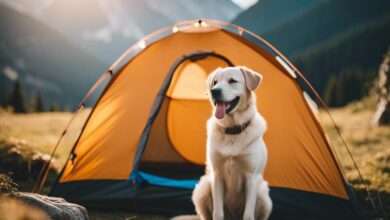 Camping mit Hund in Österreich - Das sollte man wissen