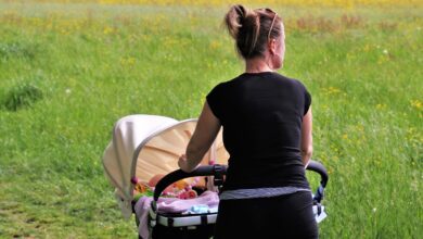Camping mit Kindern: Der richtige Kinderwagen für Outdoor-Abenteuer