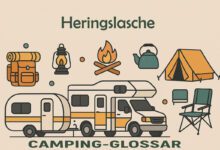 Heringslasche: Begriffe und Erklärungen im Überblick