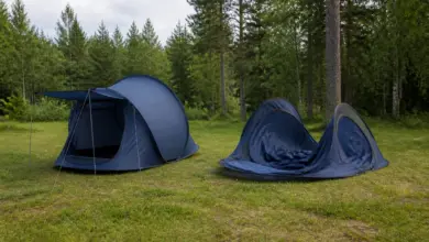 Pop-up-Zelte auf einem naturnahen Campingplatz [Bildinhalt mit KI erstellt]