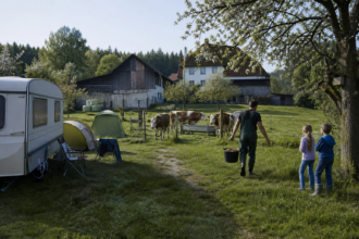 Campingplätze auf einem deutschen Bauernhof mit Kühen und Obstwiese [Bildinhalt mit KI erstellt]