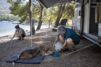 Camper versorgen ihren Hund auf einem schattigen Campingplatz an der kroatischen Adriaküste mit Wasser [Bildinhalt mit KI erstellt]